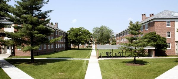 Rice_Paul_Stine_Quad.jpg